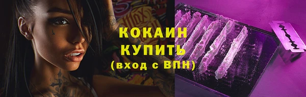 спайс Алексин