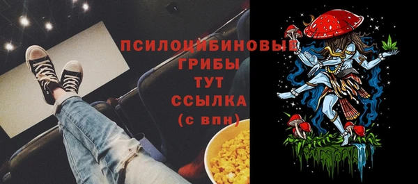 спайс Алексин