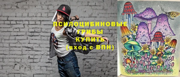 спайс Алексин