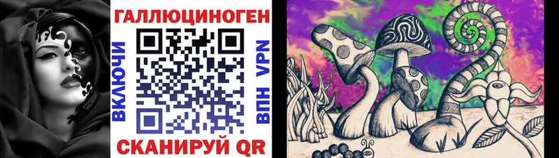 Галлюциногенные грибы Psilocybe Санкт-Петербург